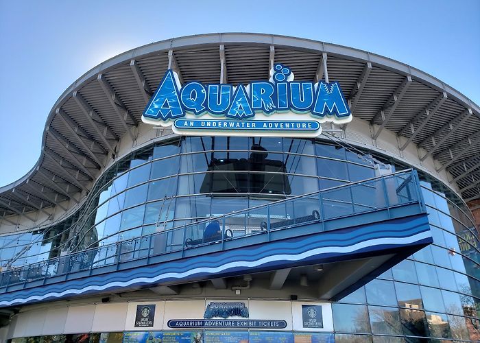 Downtown Aquarium photo