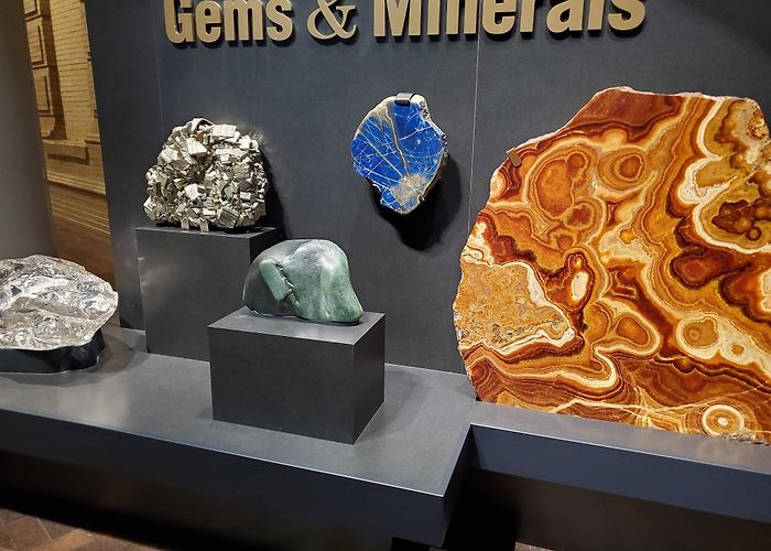 Denver Museum of Nature and Science photo