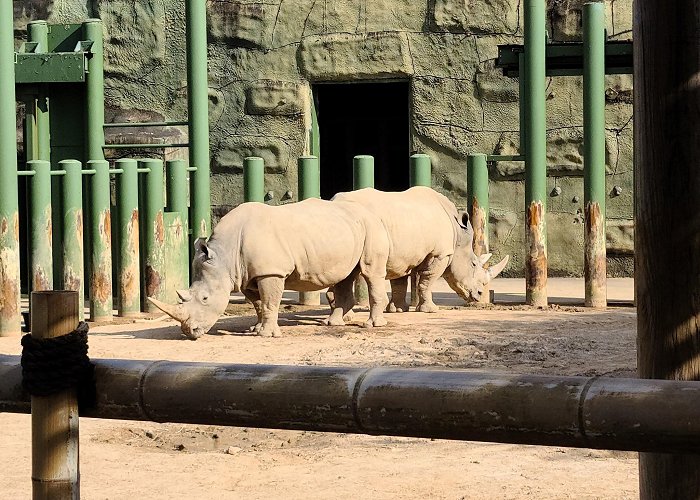 Birmingham Zoo photo