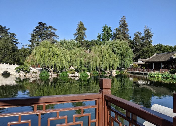 The Huntington Library, Art Museum and Botanical Gardens photo