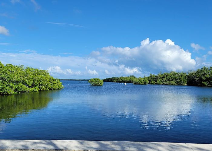John Pennekamp Coral Reef State Park photo