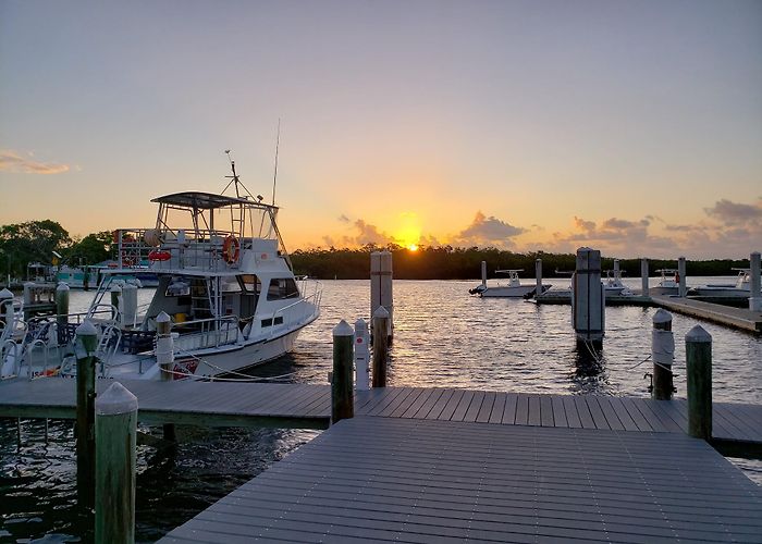John Pennekamp Coral Reef State Park photo