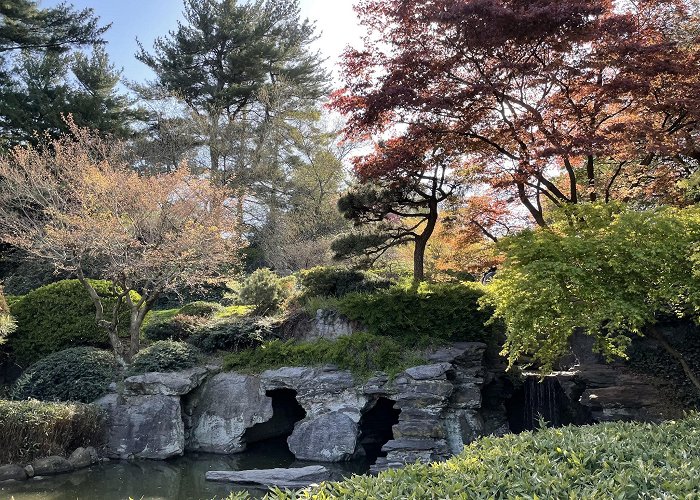 Brooklyn Botanical Gardens photo