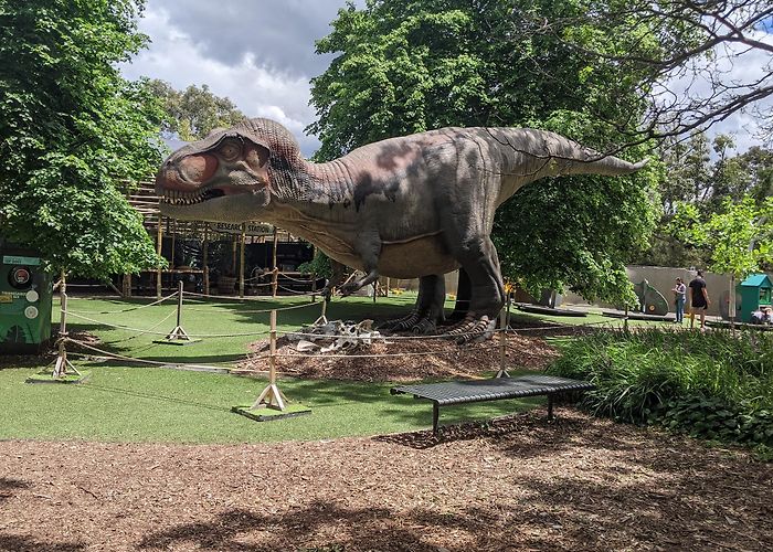 Melbourne Zoo photo