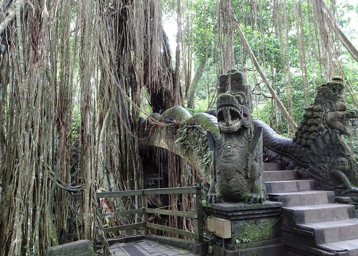 Ubud Monkey Forest photo