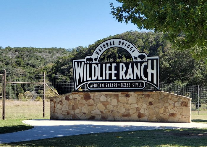 Natural Bridge Wildlife Ranch photo