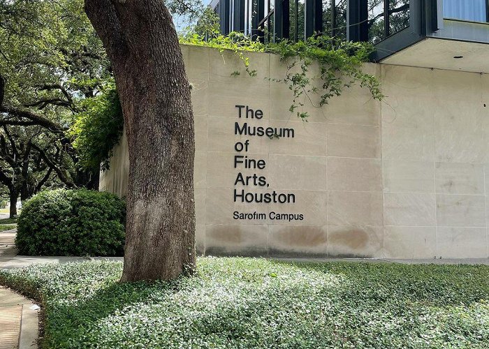 Museum of Fine Arts photo