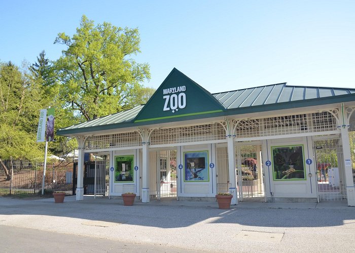 The Maryland Zoo photo