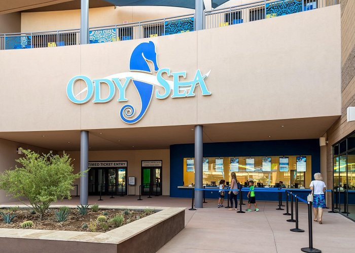 OdySea Aquarium photo