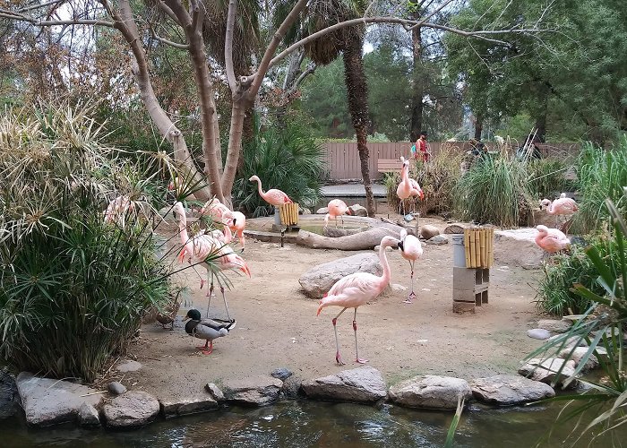 Reid Park Zoo photo