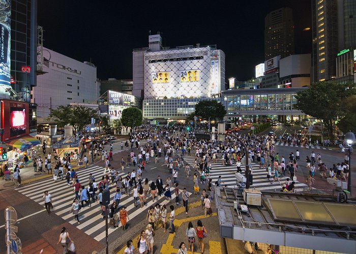 Shibuya Crossing photo