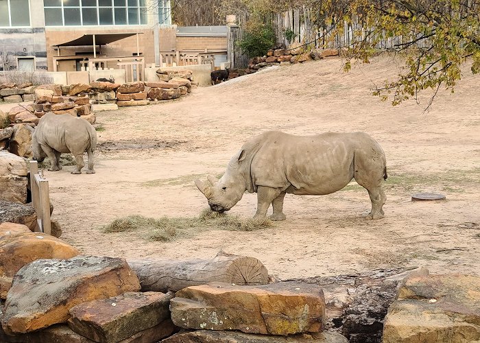 Tulsa Zoo photo