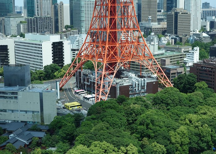 Tokyo Tower photo