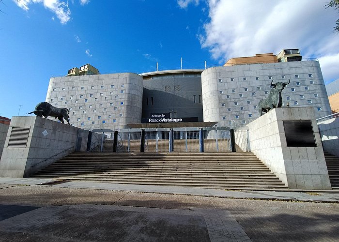 Palacio Vistalegre Arena photo