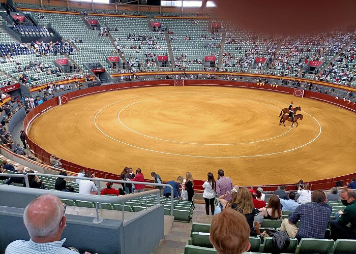 Palacio Vistalegre Arena photo