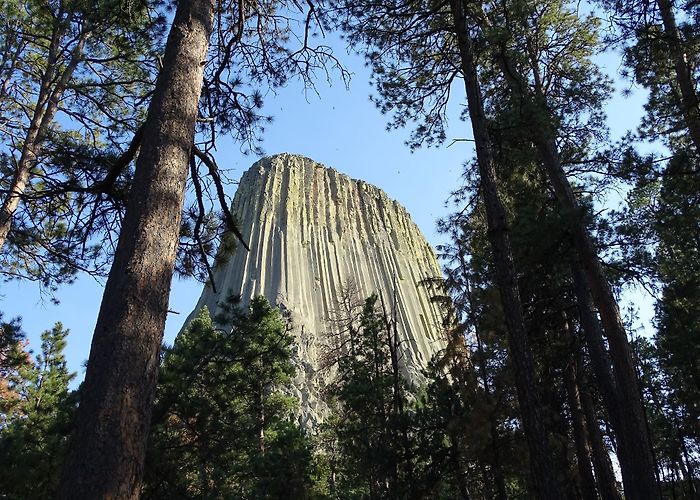 Devils Tower National Monument photo