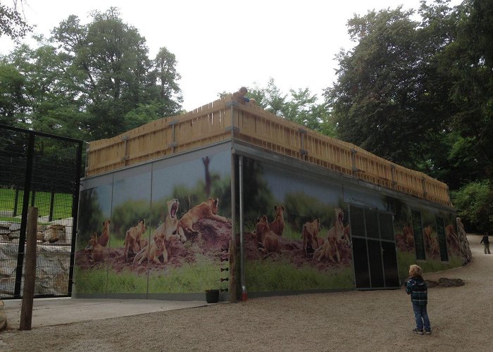 Tierpark Stadt Haag braeuer.cc | Latest news | Latest news | Lion-cage at animal park ... photo