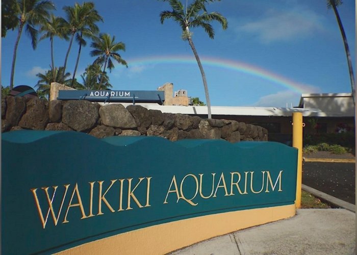 Waikiki Aquarium The Waikiki Aquarium Celebrates World Ocean Month Throughout June ... photo