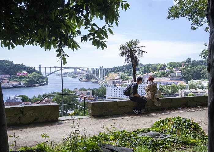 City Park Crystal Palace Gardens | Attractions in Massarelos, Porto photo