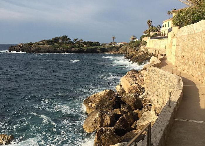 Exotic Garden of Monaco Things to Do in Cap d'Ail in 2024 | Expedia photo