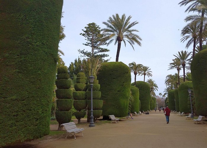 Genovés Park Genovés Garden Park » Cádiz audio guide app » VoiceMap photo