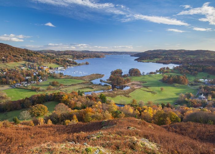 Grizedale forest Lake Windermere Tours - Book Now | Expedia photo