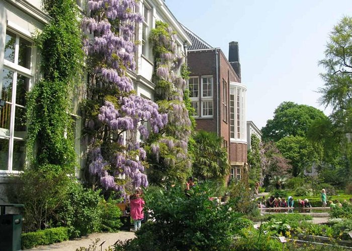 de hortus Hortus Botanicus – What's up with Amsterdam photo
