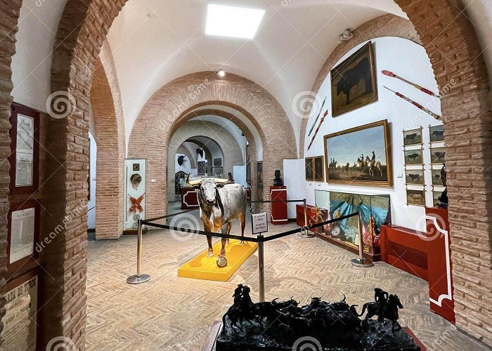 Museo Taurino de la Real Maestranza de Caballeria Corrida Indoor Stock Photos - Free & Royalty-Free Stock Photos ... photo