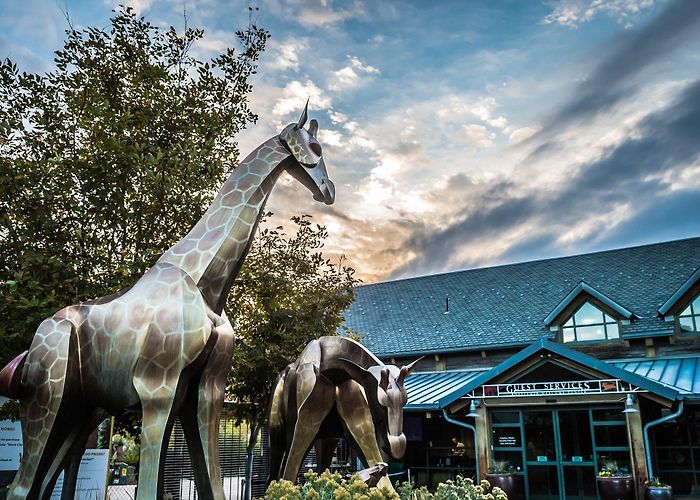 Denver Zoo Denver Zoo – Zoo Review | Condé Nast Traveler photo