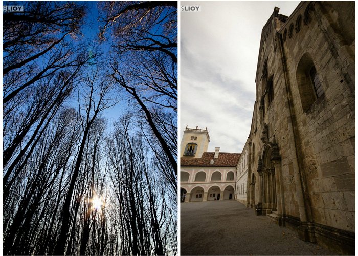 Heiligenkreuz Abbey Exploring the Vienna Woods: Mayerling, Seegrotte, and more. photo