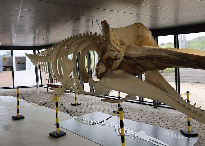 Museum Broeker Veiling Visit Huisduinen: 2024 Travel Guide for Huisduinen, North Holland ... photo