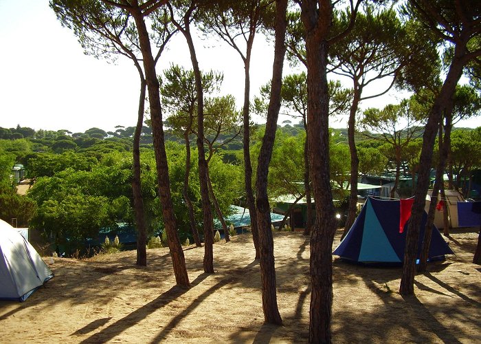 Playa de La Bota Camping Playa La Bota in Punta Umbría, Spain (2024) | Book your ... photo