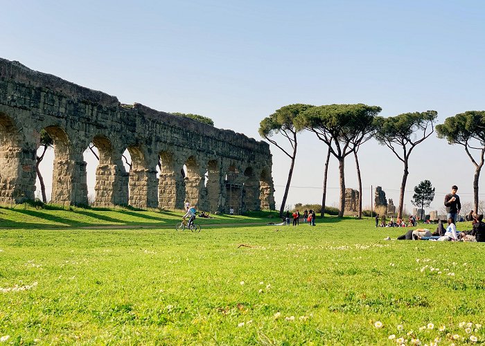 Parco degli Acquedotti The Role of Dogs in Rome, from Antiquity to Today photo