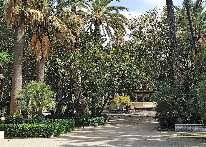 Parque Municipal El alcalde de Elche anuncia una restauración integral del Parque ... photo