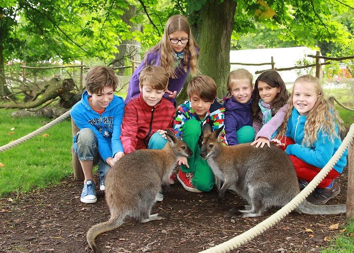 Tierpark Sababurg Tierpark Sababurg photo