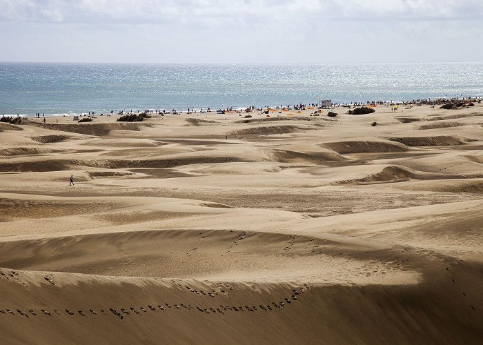 Maspalomas Dunes Tourists having sex in the dunes is ruining a Spanish beach | CNN photo