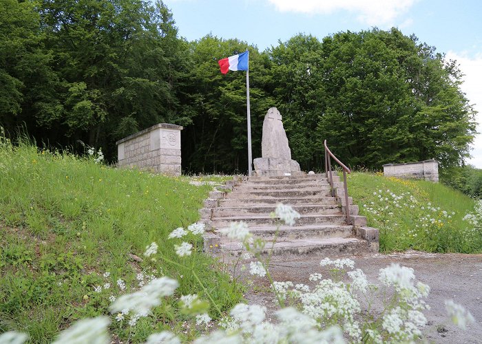 Verdun Memorial Guided tour by car of the Bois des Caures | Explore Grand Est photo