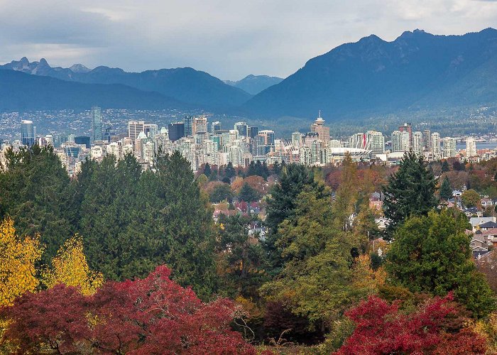 Queen Elizabeth Park The Fall Colours of Vancouver and BC photo