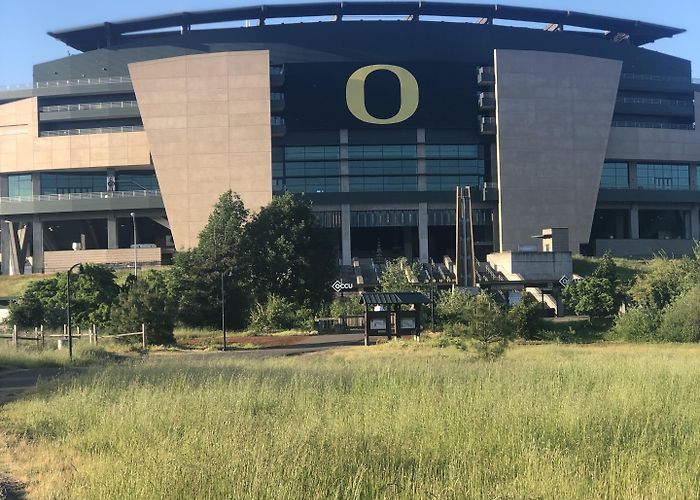 Autzen Stadium Vacation Homes near Autzen Stadium, Harlow: House Rentals & More ... photo