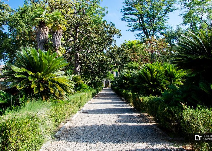 Botanical Gardens of Pisa Pisa. Botanical garden photo
