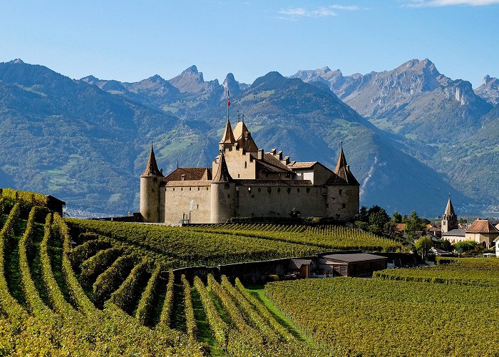 Aigle Castle Visit Aigle: 2024 Travel Guide for Aigle, Canton of Vaud | Expedia photo