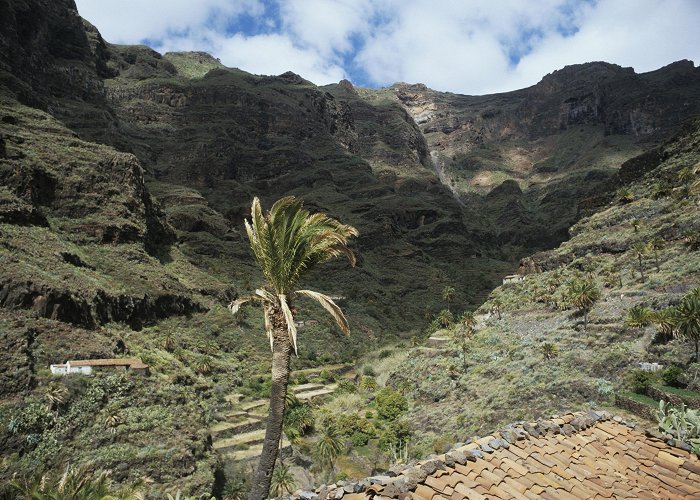 Parque Nacional de Garajonay Visita Parque Nacional de Garajonay en Islas Canarias - Tours ... photo
