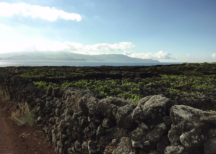 Gruta das Torres Visit Madalena: 2024 Travel Guide for Madalena, Azores | Expedia photo