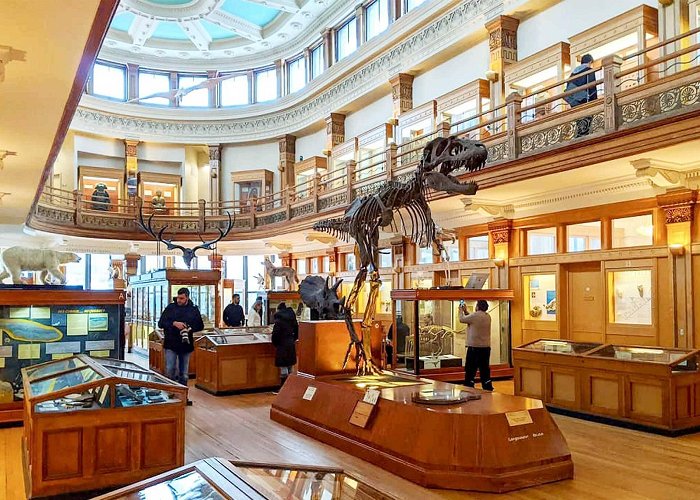 Redpath Museum The Redpath Museum in Montreal is Canada's shrine to natural history photo