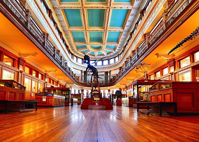 Redpath Museum Redpath Museum Tours - Book Now | Expedia photo