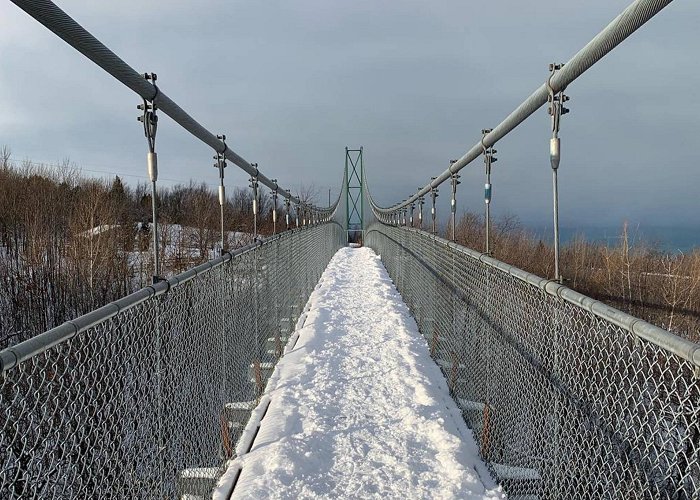 Scenic Caves Nature Adventures This suspension bridge is the most epic place to snowshoe in Ontario photo