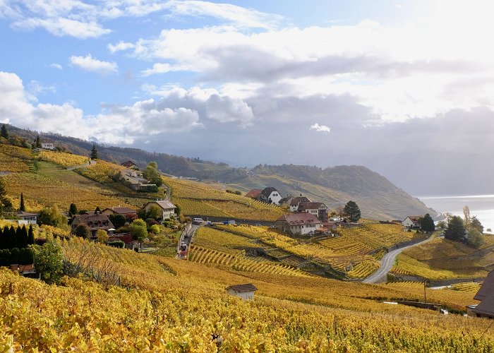 Lavaux Vineyard Terraces Visit Cully: 2024 Travel Guide for Cully, Bourg-en-Lavaux | Expedia photo