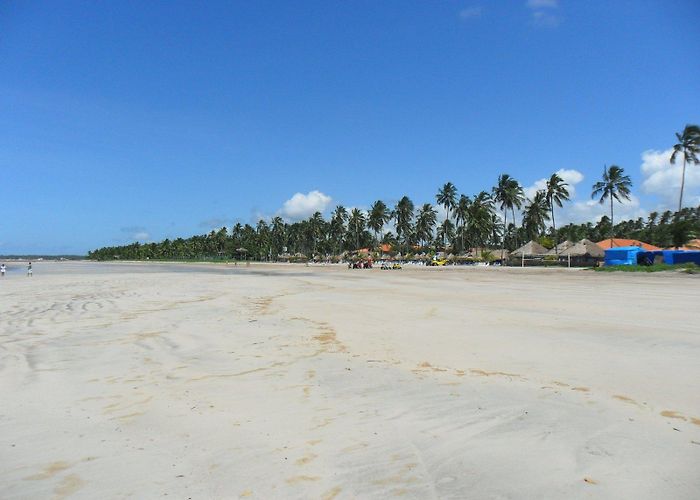 Praia de Maragogi Praia de Maragogi Free Photo Download | FreeImages photo