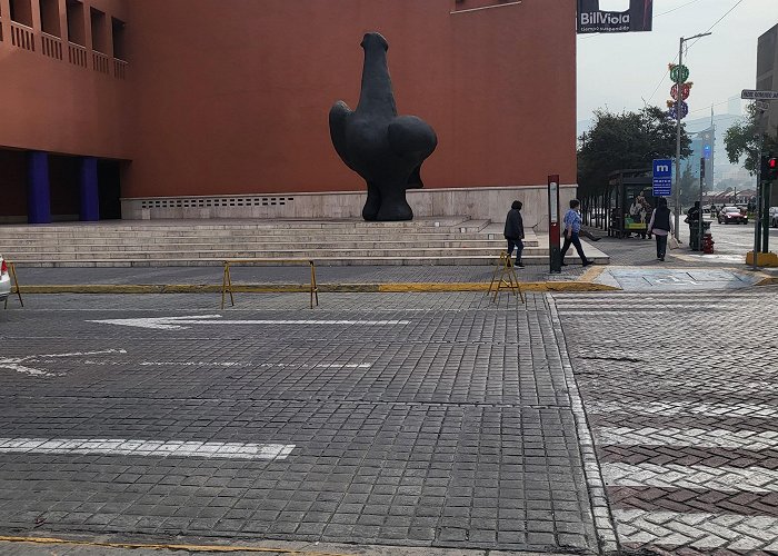 Monterrey Metropolitan Museum this dove statue in Monterrey : r/AbsoluteUnits photo