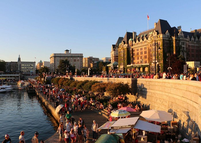 Inner Harbour Inner Harbour Summer Line Up returns to the Lower Causeway - GVHA photo